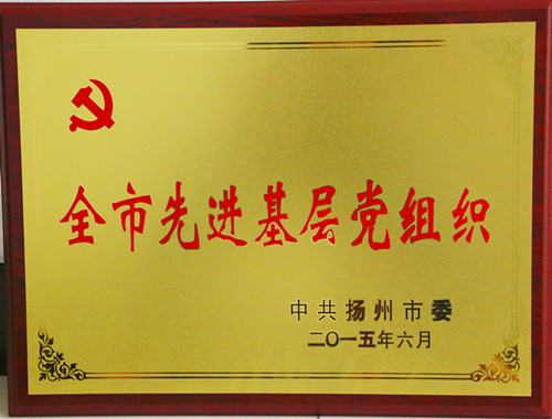 全市先进基层党组织_副本.jpg