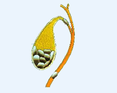 10_苏北1423_ps_p0002-8.jpg